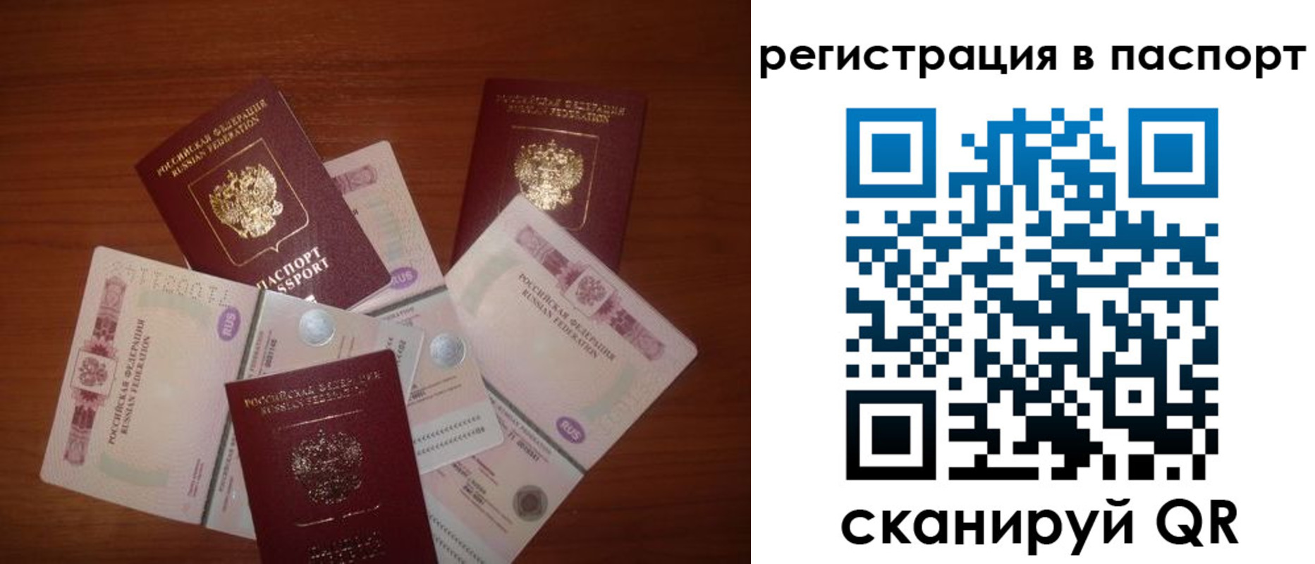 временная регистрация поиск в Камышине